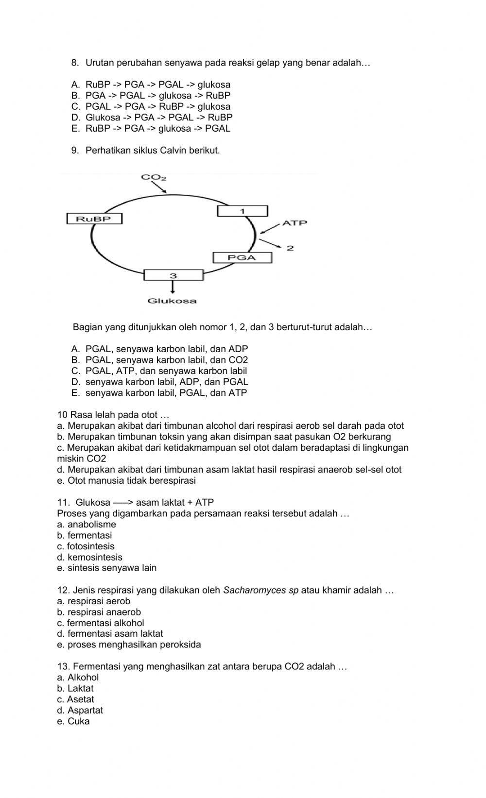 Soal latihan tengah semester