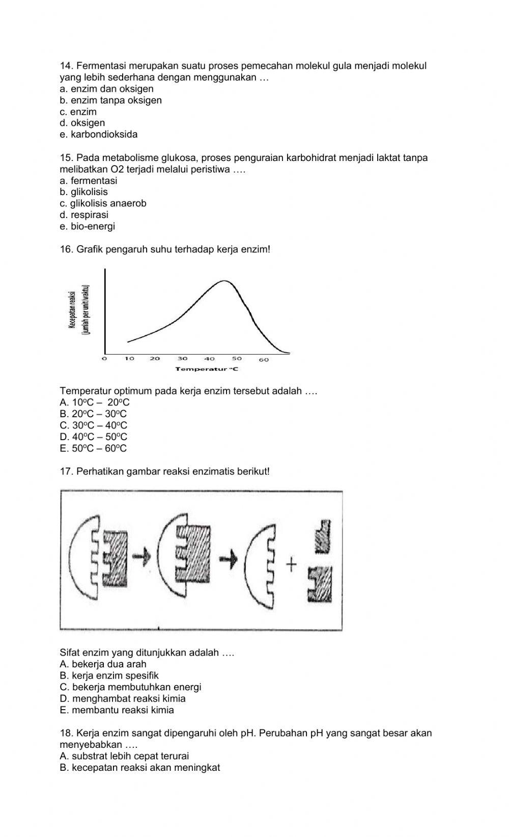 Soal latihan tengah semester