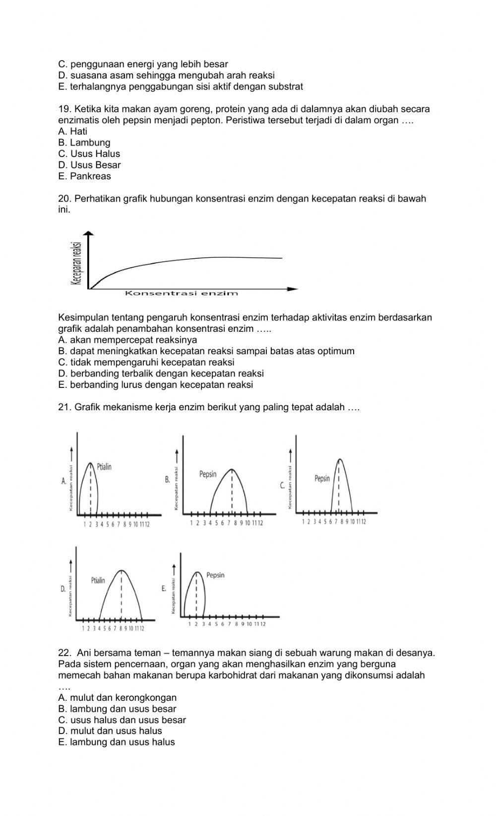 Soal latihan tengah semester