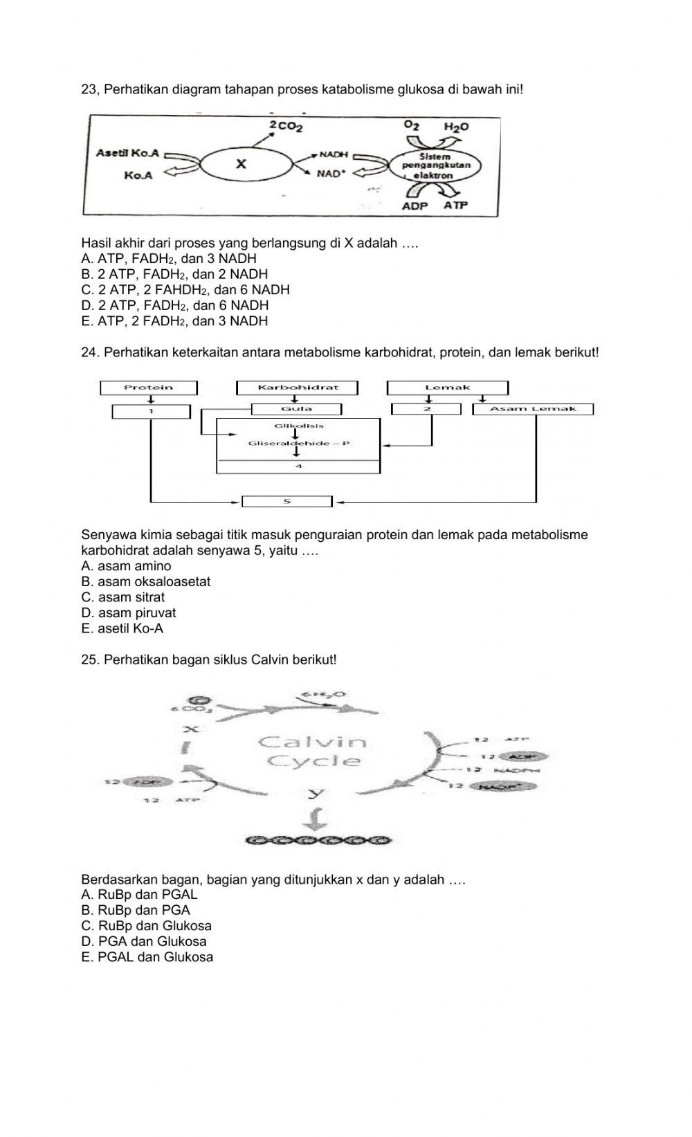 Soal latihan tengah semester