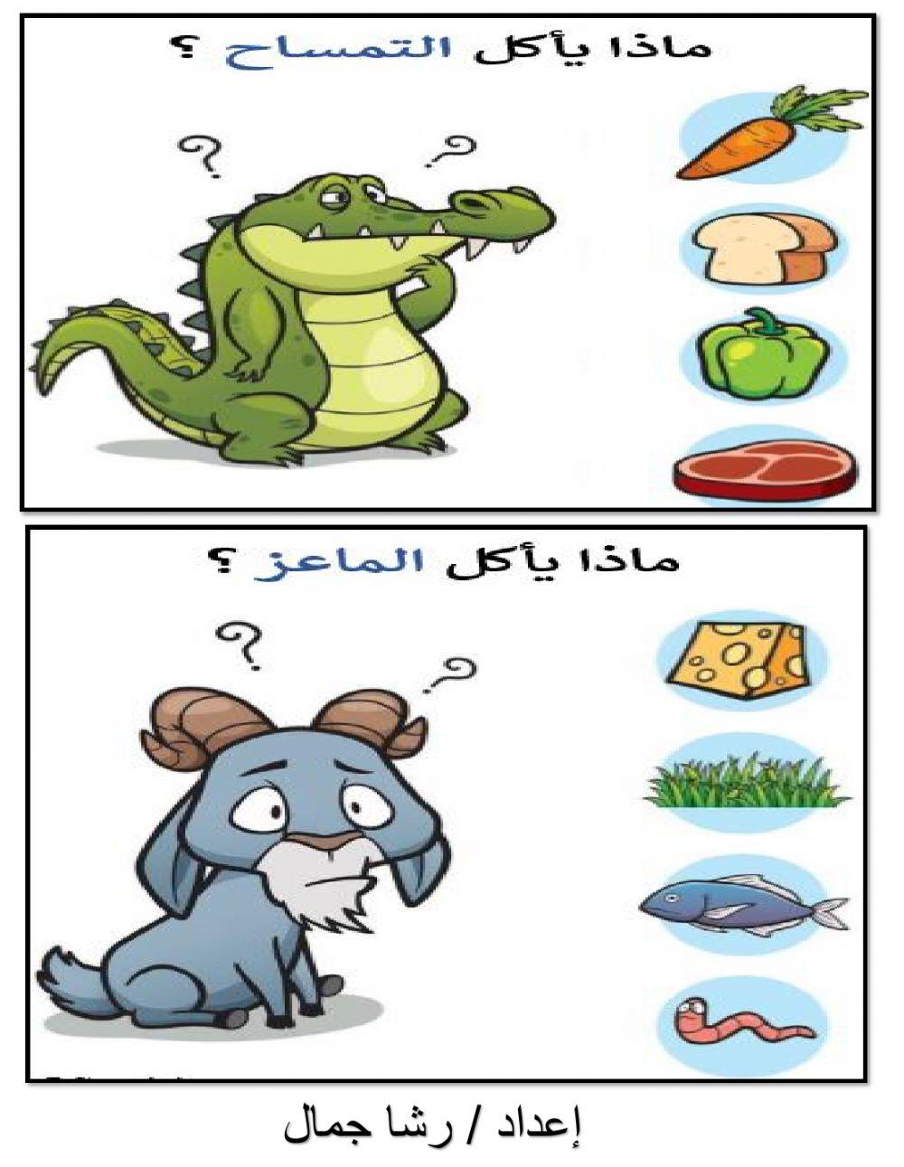 اختر ماذا يأكل الحيوان