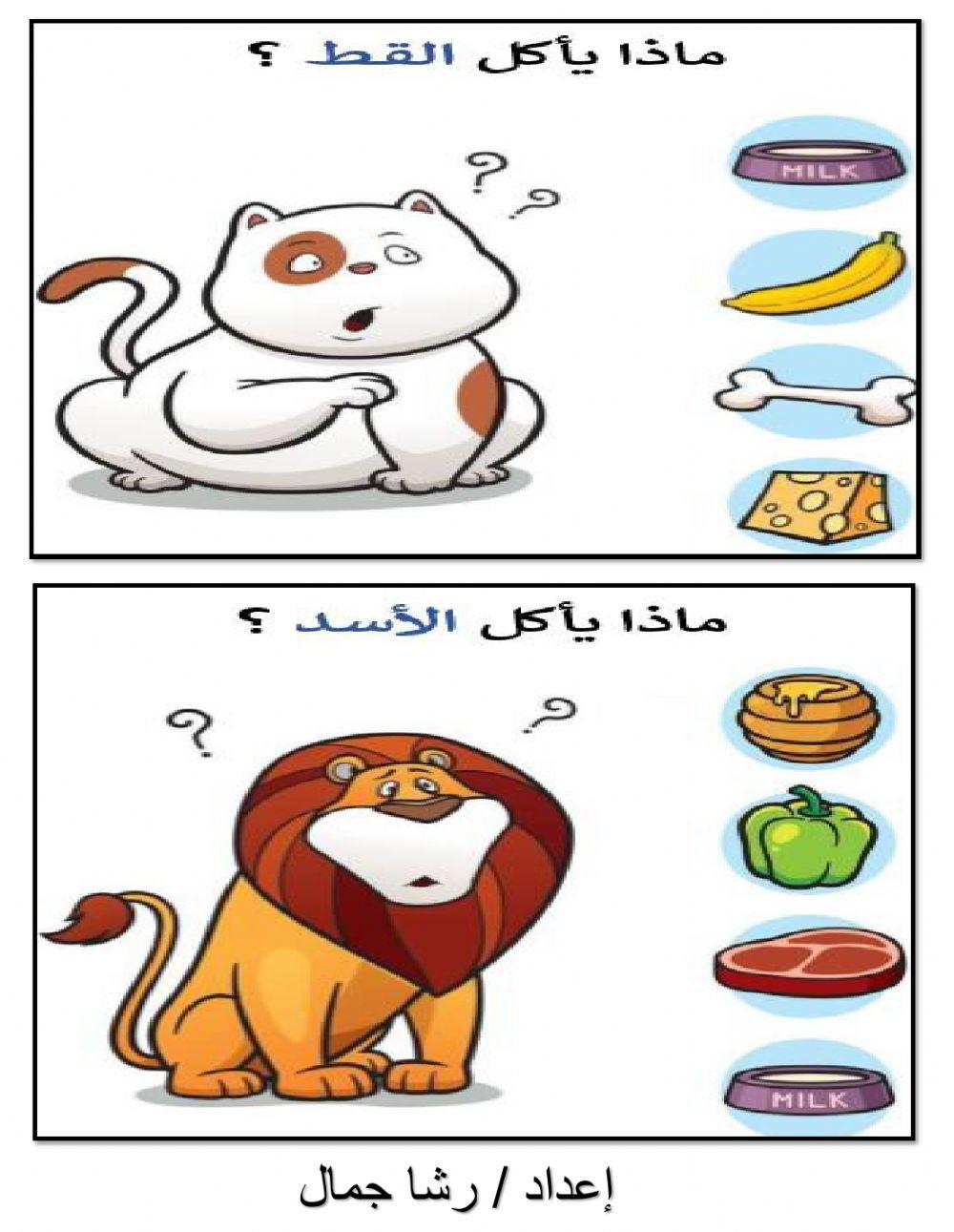 اختر ماذا يأكل الحيوان