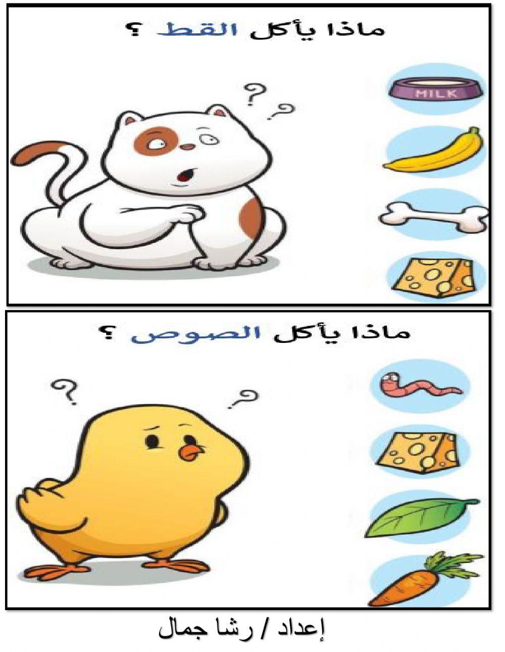 اختر ماذا يأكل الحيوان