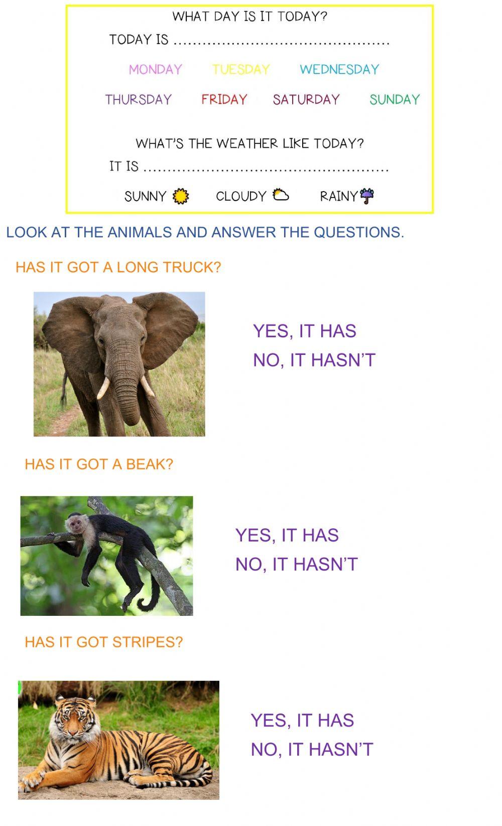 Has it got-have you got