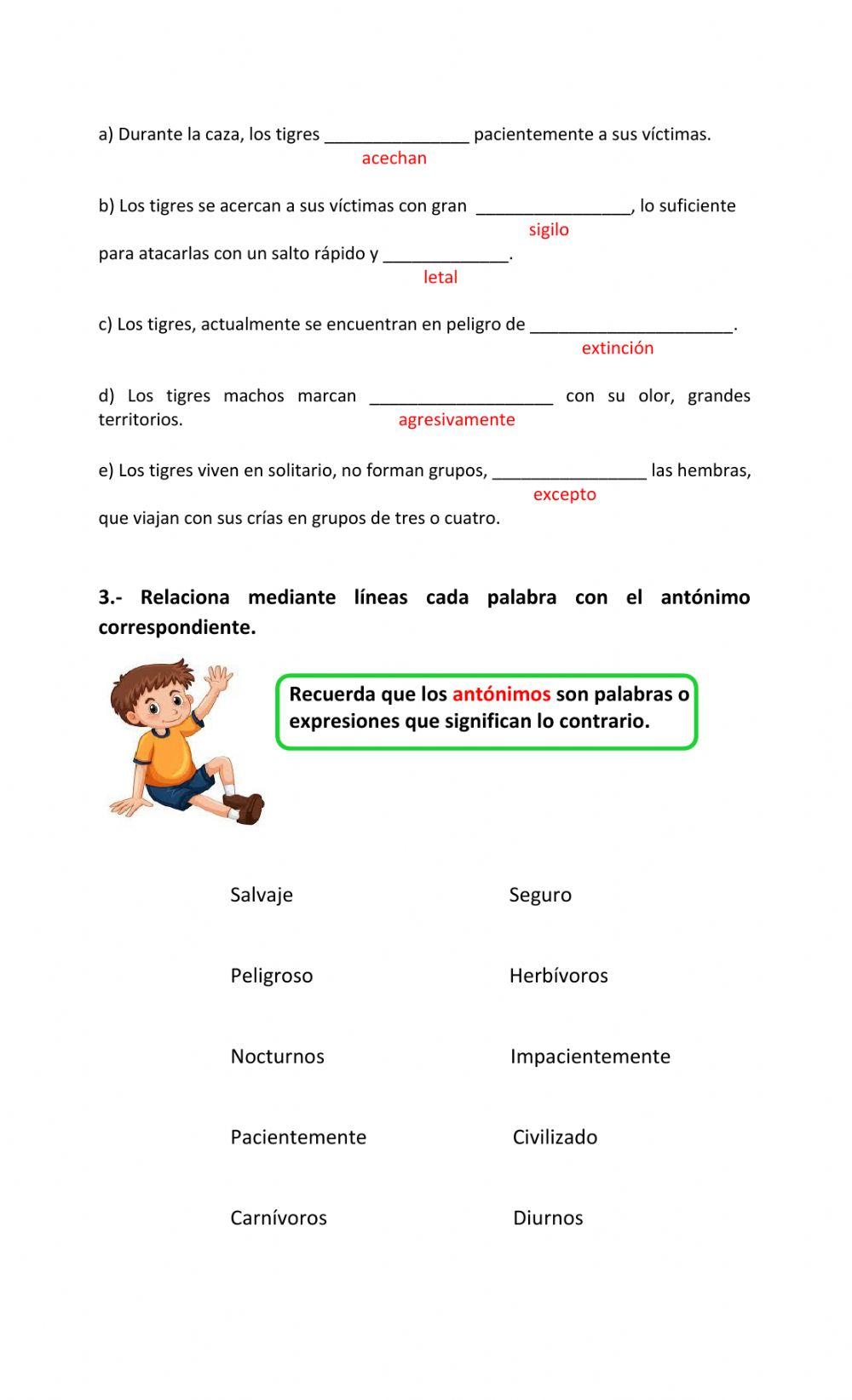 Ampliando el vocabulario