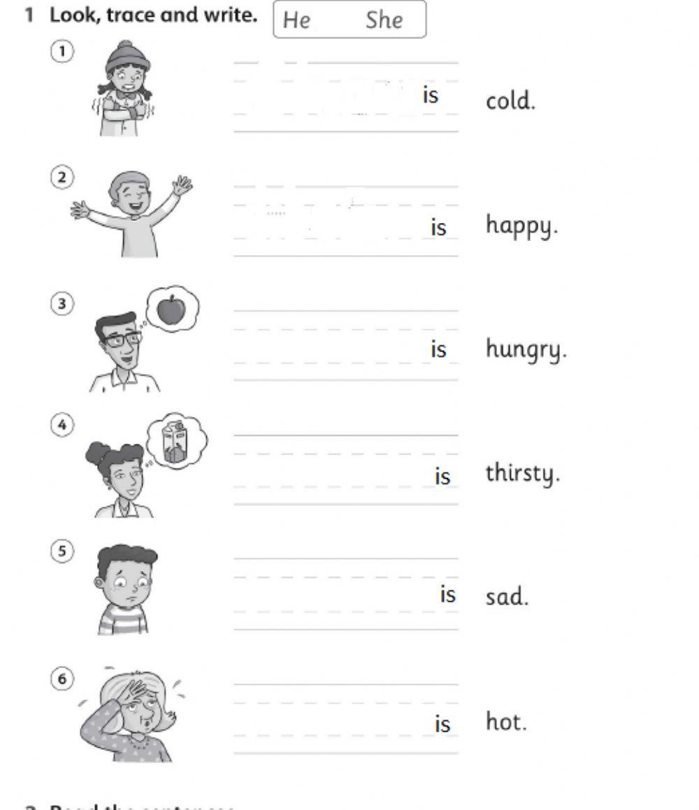 She- he worksheet | Live Worksheets