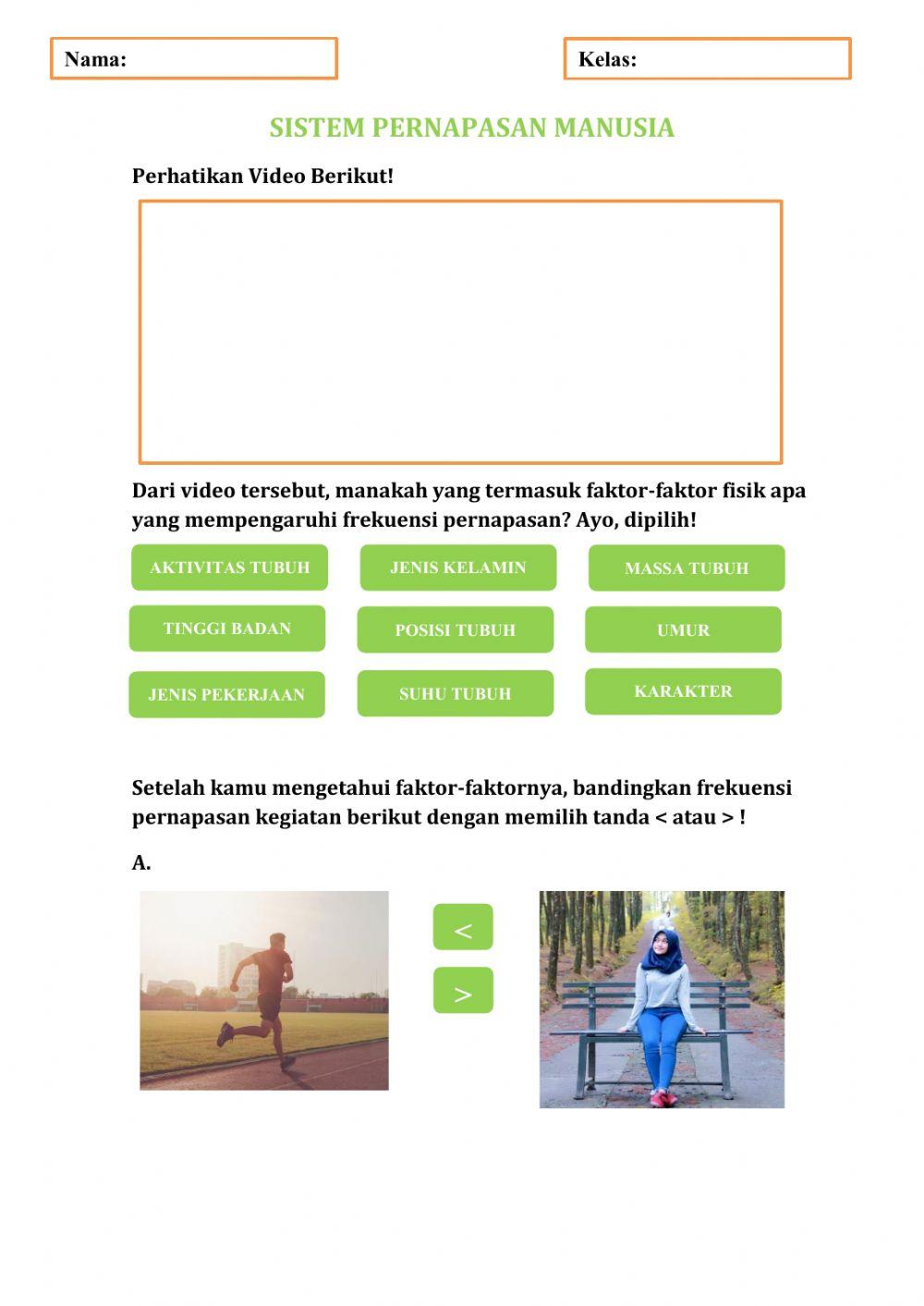 Sistem Pernapasan Manusia