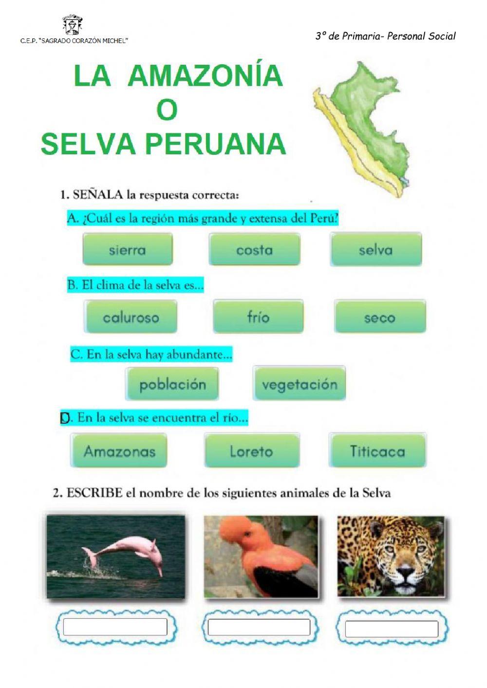 La selva peruana o amazonia