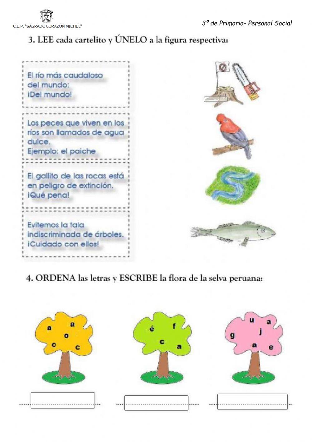 La selva peruana o amazonia