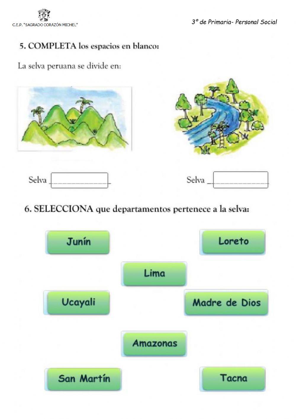 La selva peruana o amazonia