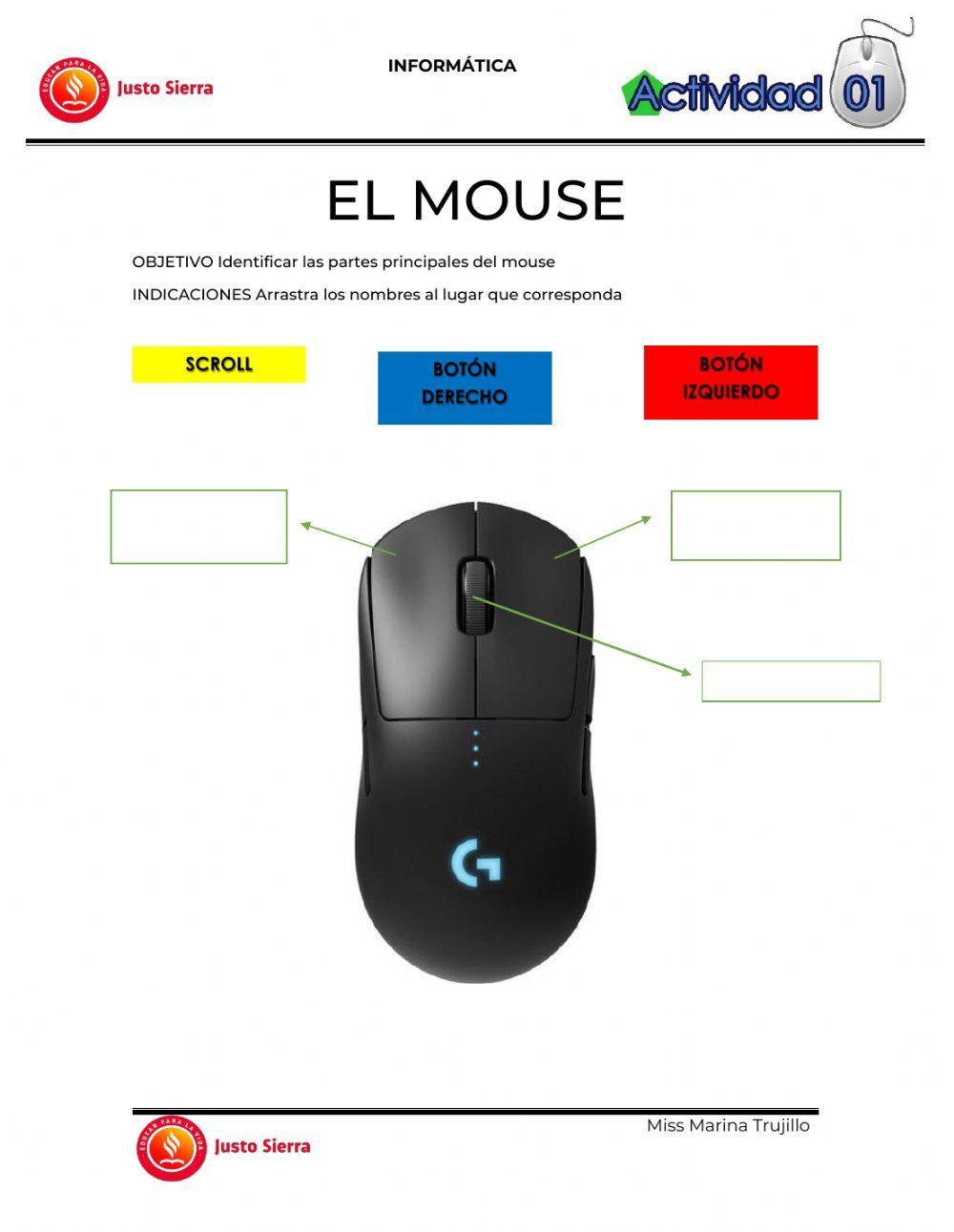 Las partes del mouse