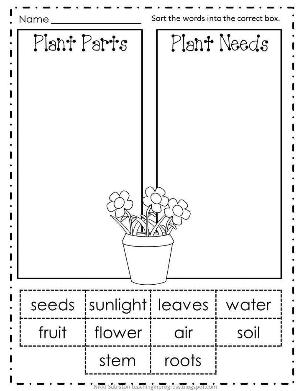 362023 Plants Lubna 2020 LiveWorksheets 362023-plants-lubna-2020-liveworksheets