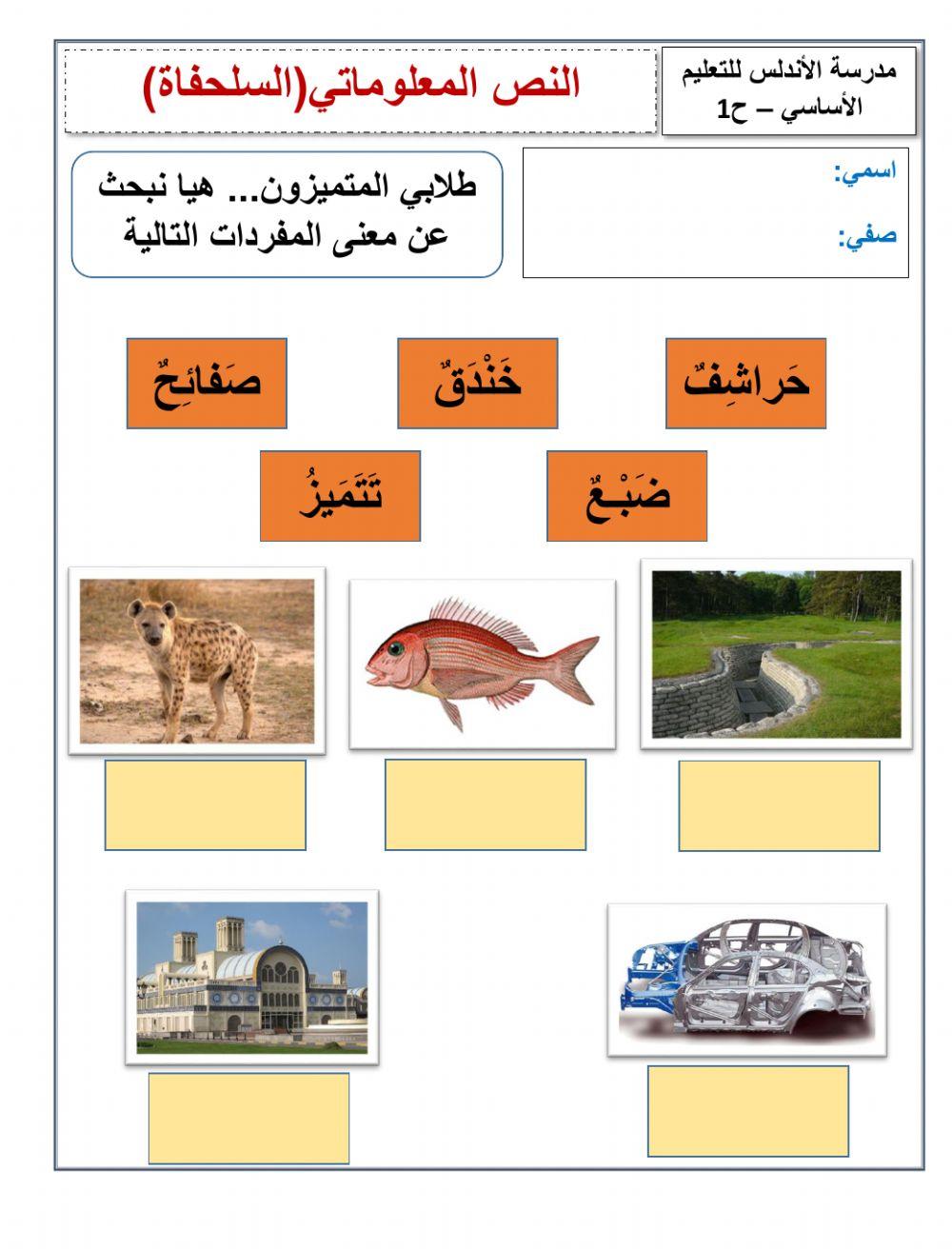 نص معلوماتي