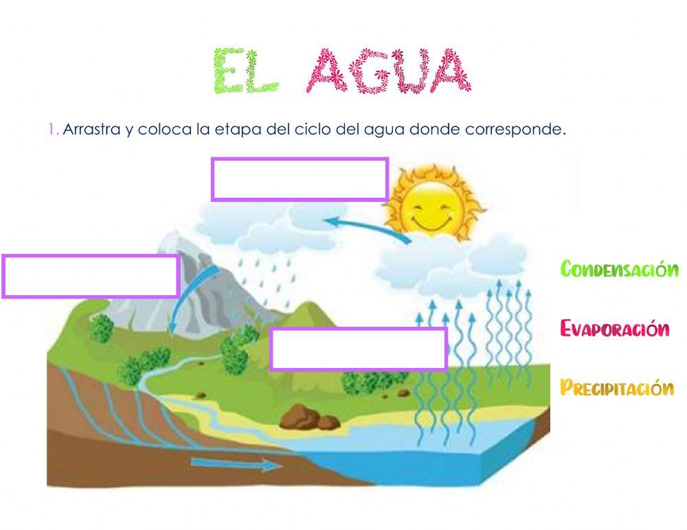 El agua
