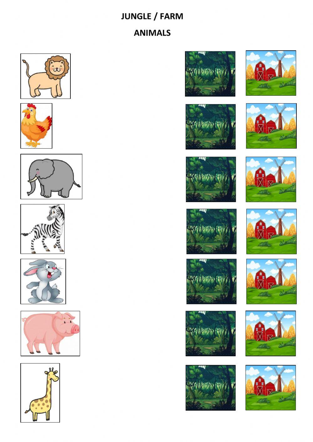 Jungle - Farm Animals Jungle - Farm Animals