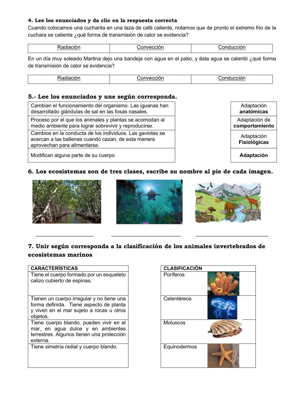 Ciencias naturales - Temas de Sexto grado