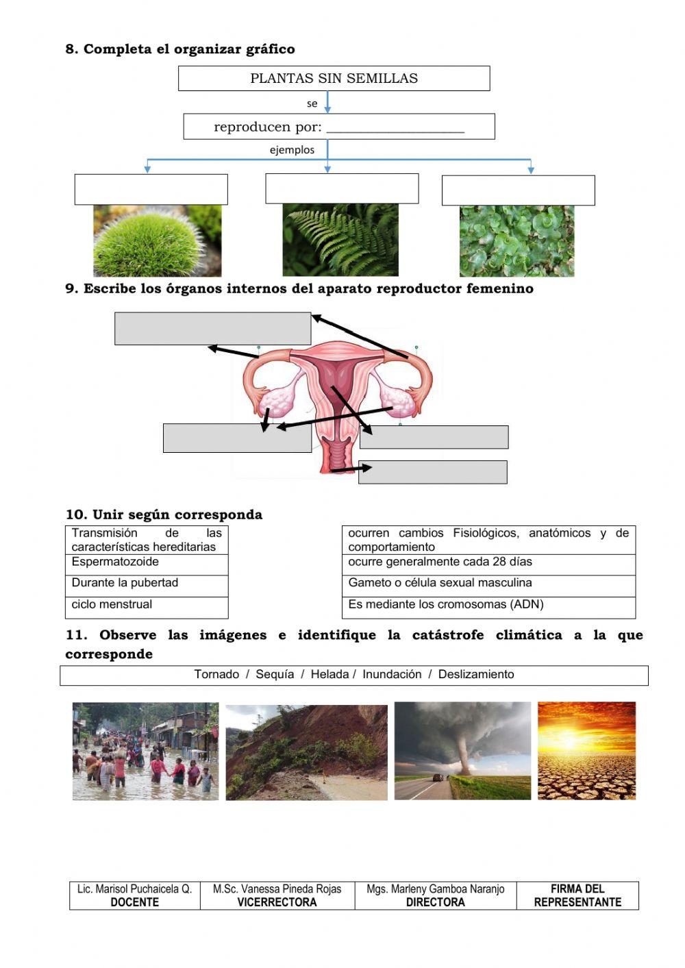 Ciencias naturales - Temas de Sexto grado