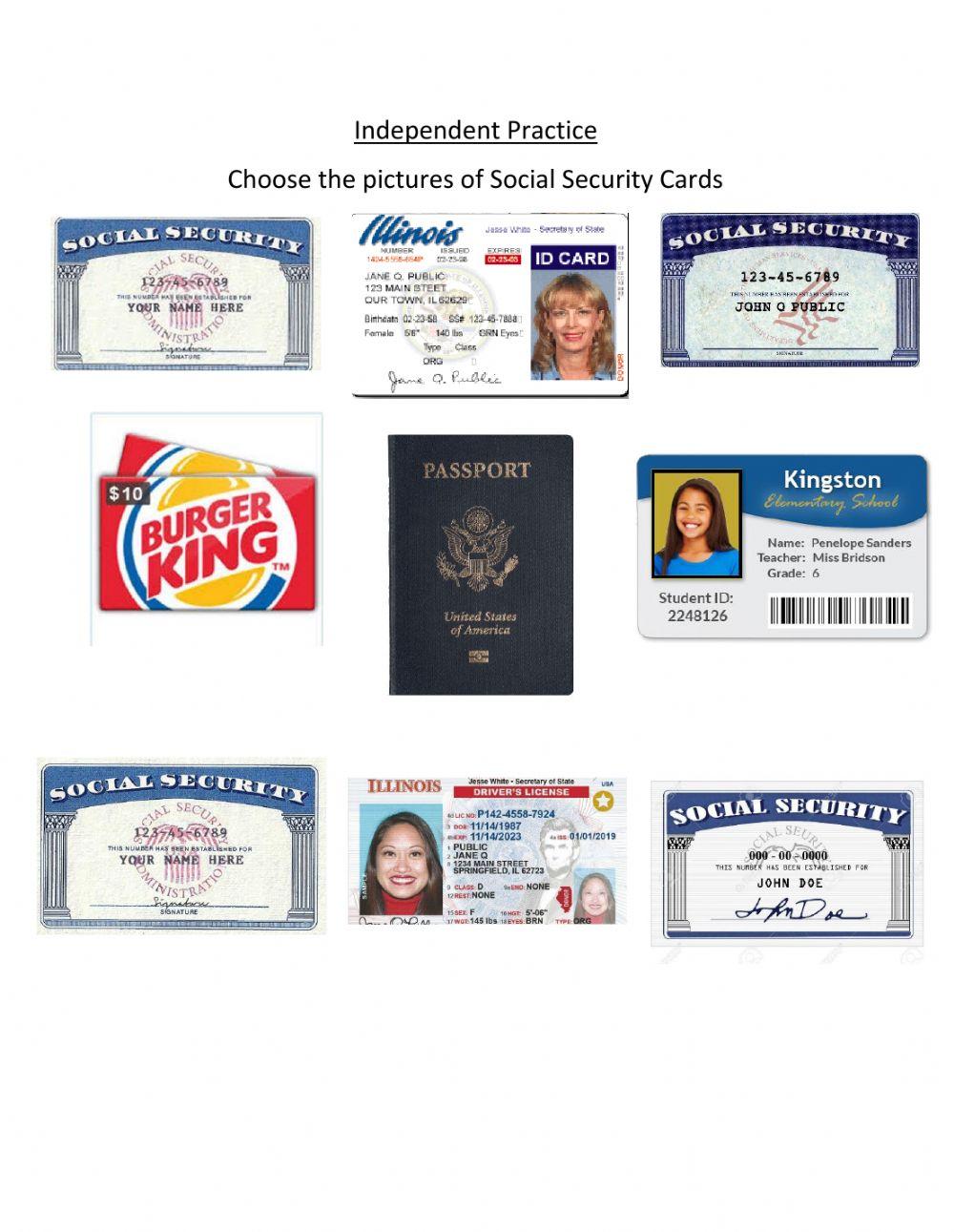 Independent Practice: Social Security Cards