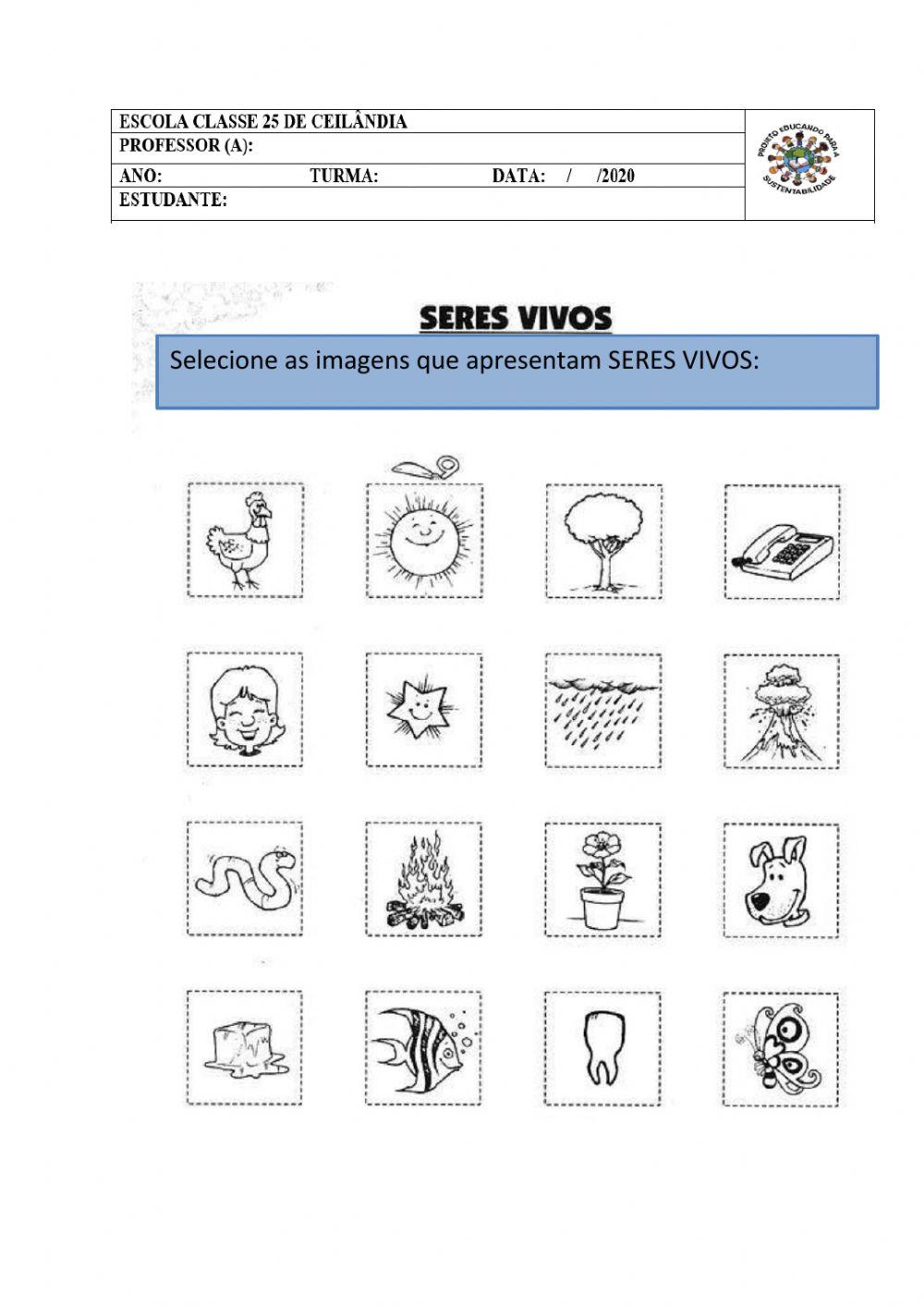 Seres vivos e não vivos