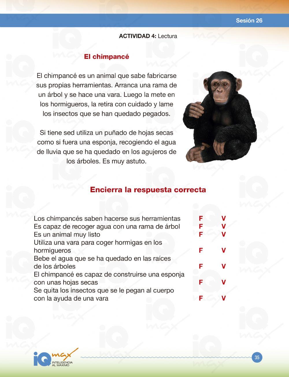 Lectura el chimpace