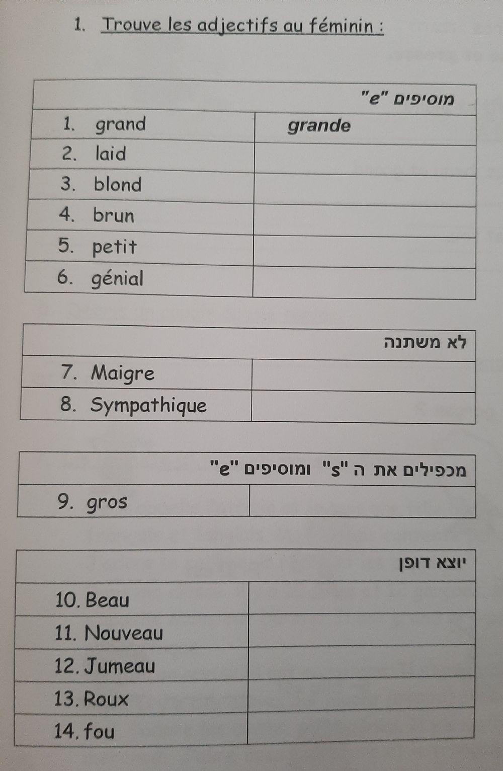 Adjectifs au feminin