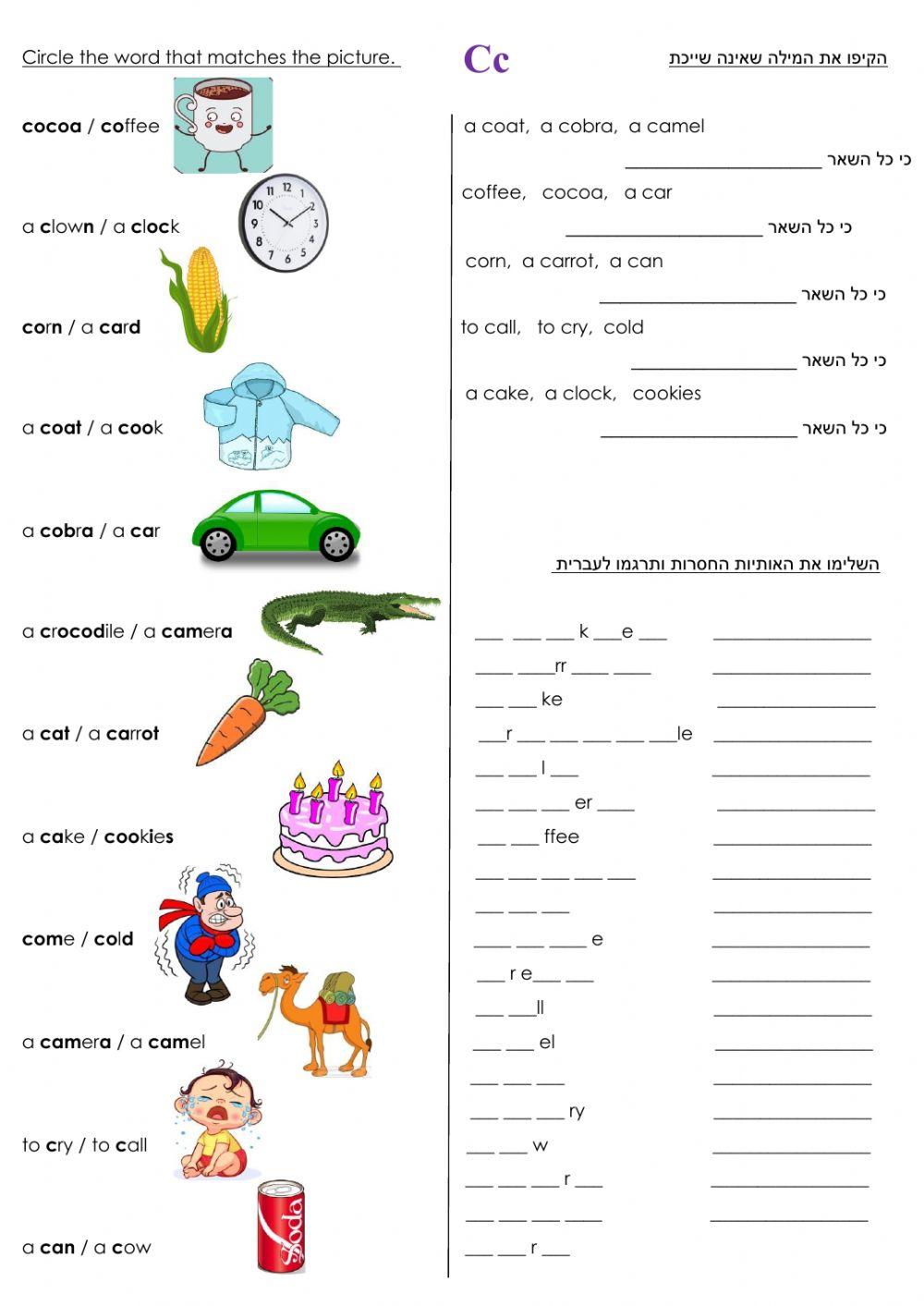 Goal 1 The Letter Cc  Dina Shterengas