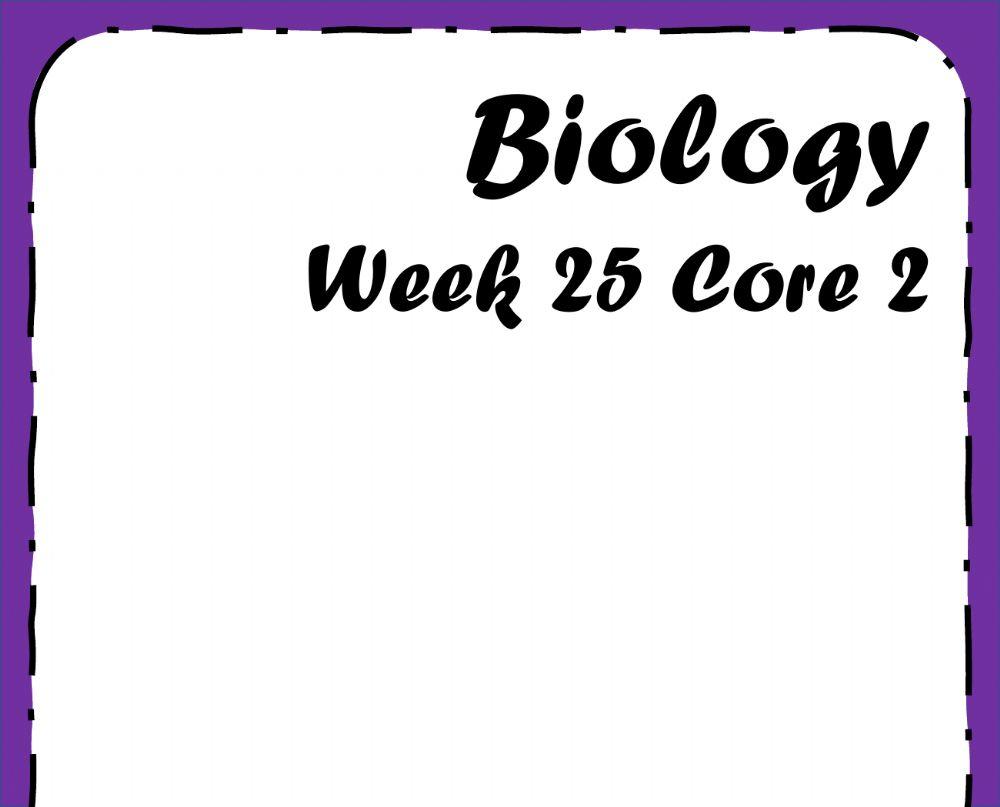Biology - week - 25