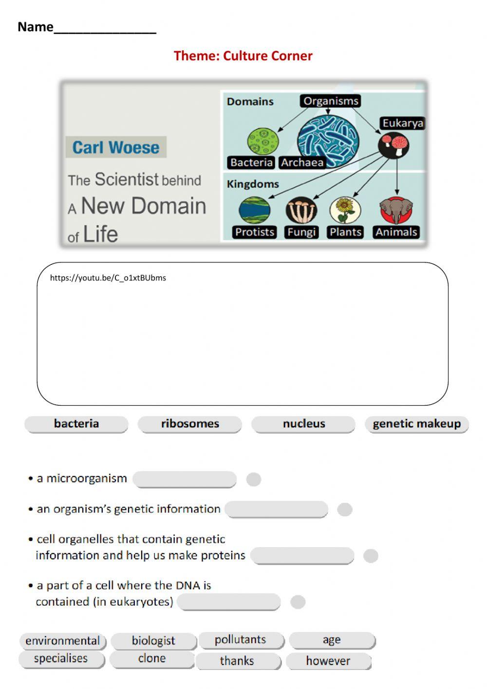 Action 11 e Made by Zhanar Habibullina