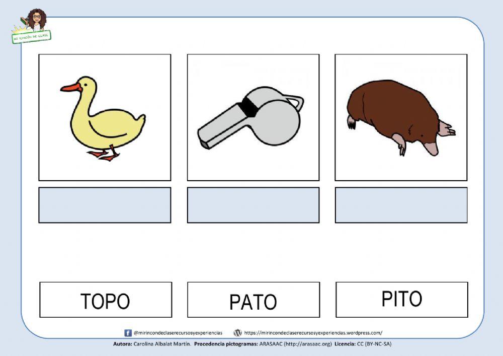 Pato, pito, topo