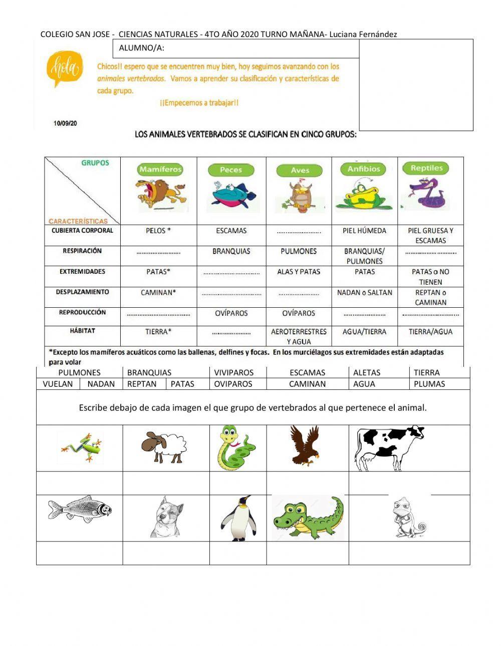 4TO NATURALES - VERTEBRADOS 1