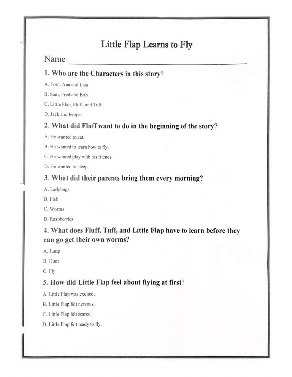 Comprehension Little Flap Learns to Fly