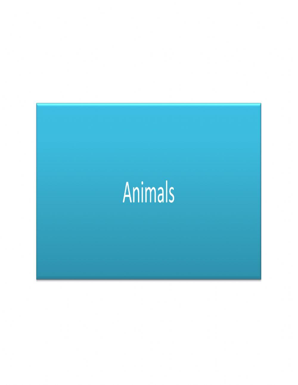 Identifying animals