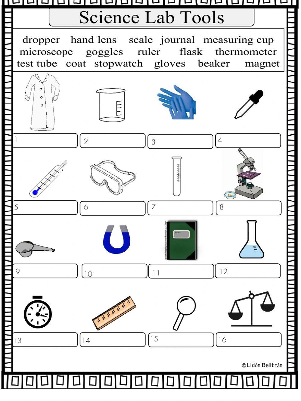 Scientific tools online worksheet | Live Worksheets Scientific tools online worksheet | Live Worksheets