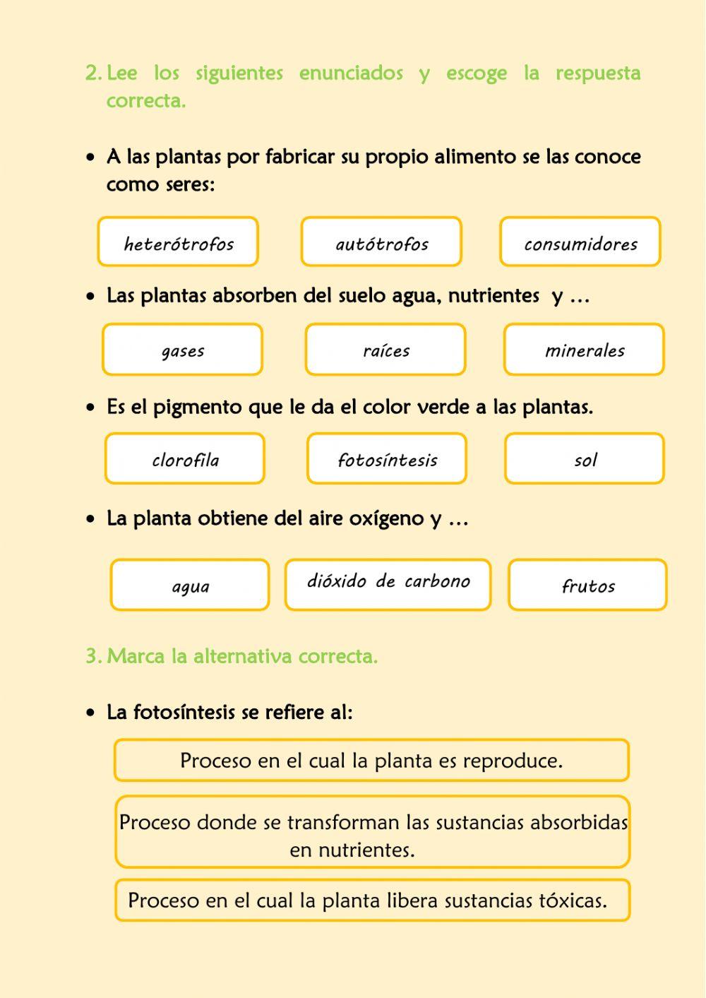 Prueba Sumativa de Ciencias Naturales