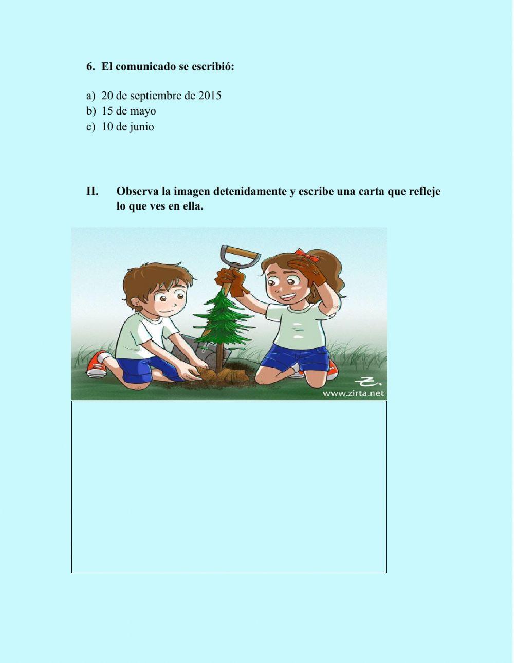 Evaluación diagnóstica