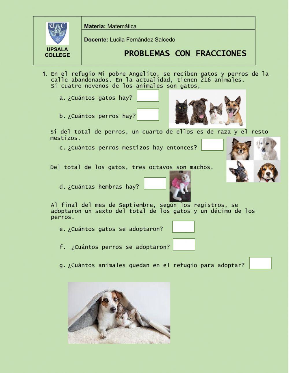 Problemas con fracciones