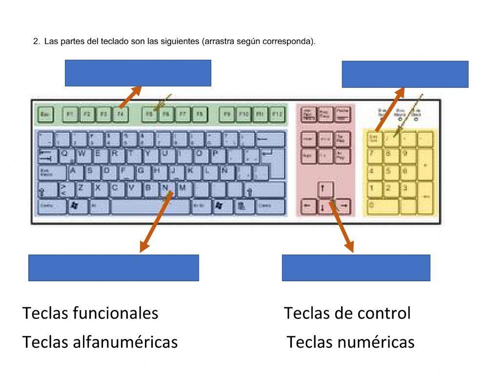 Licenciada en artistica
