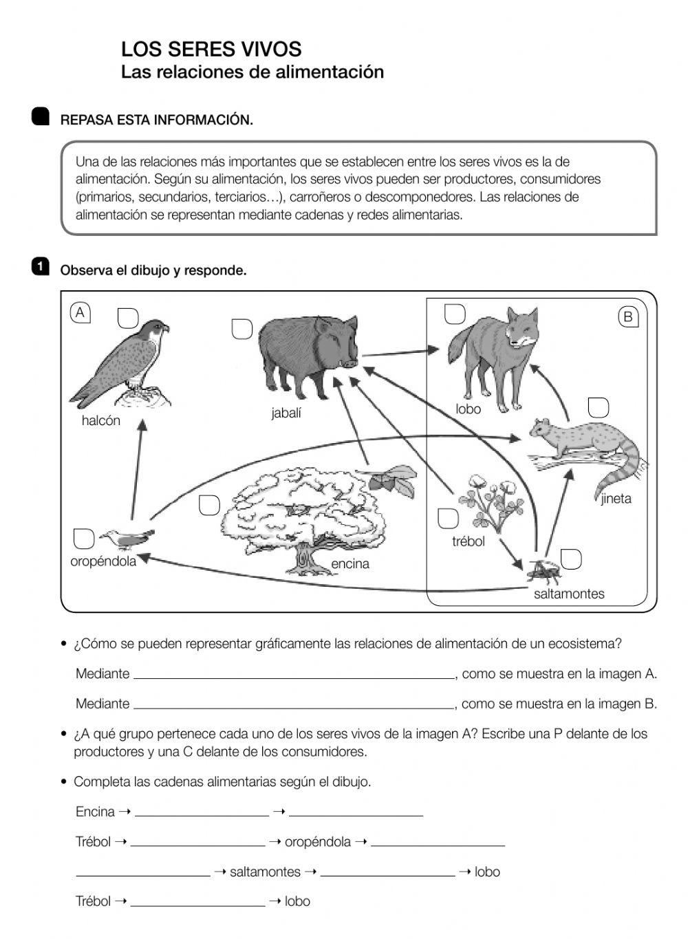Ficha de repaso 3 de CCNN 5º