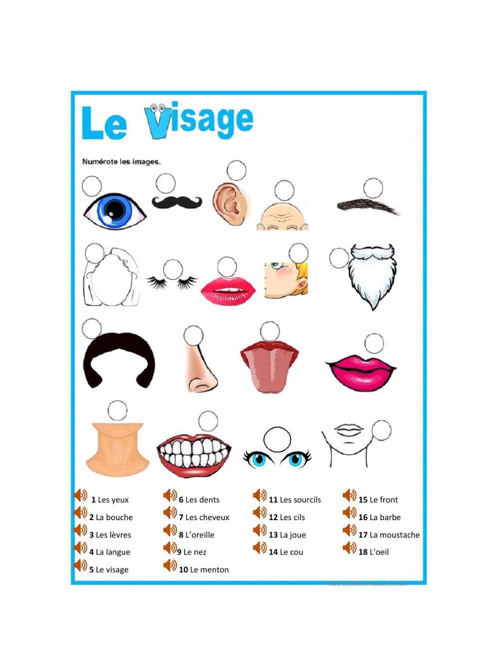 Le visage