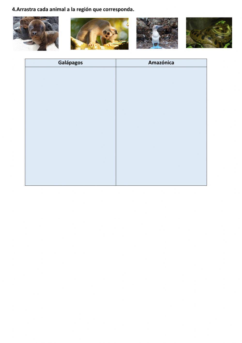 Región Amazónica y Galápagos