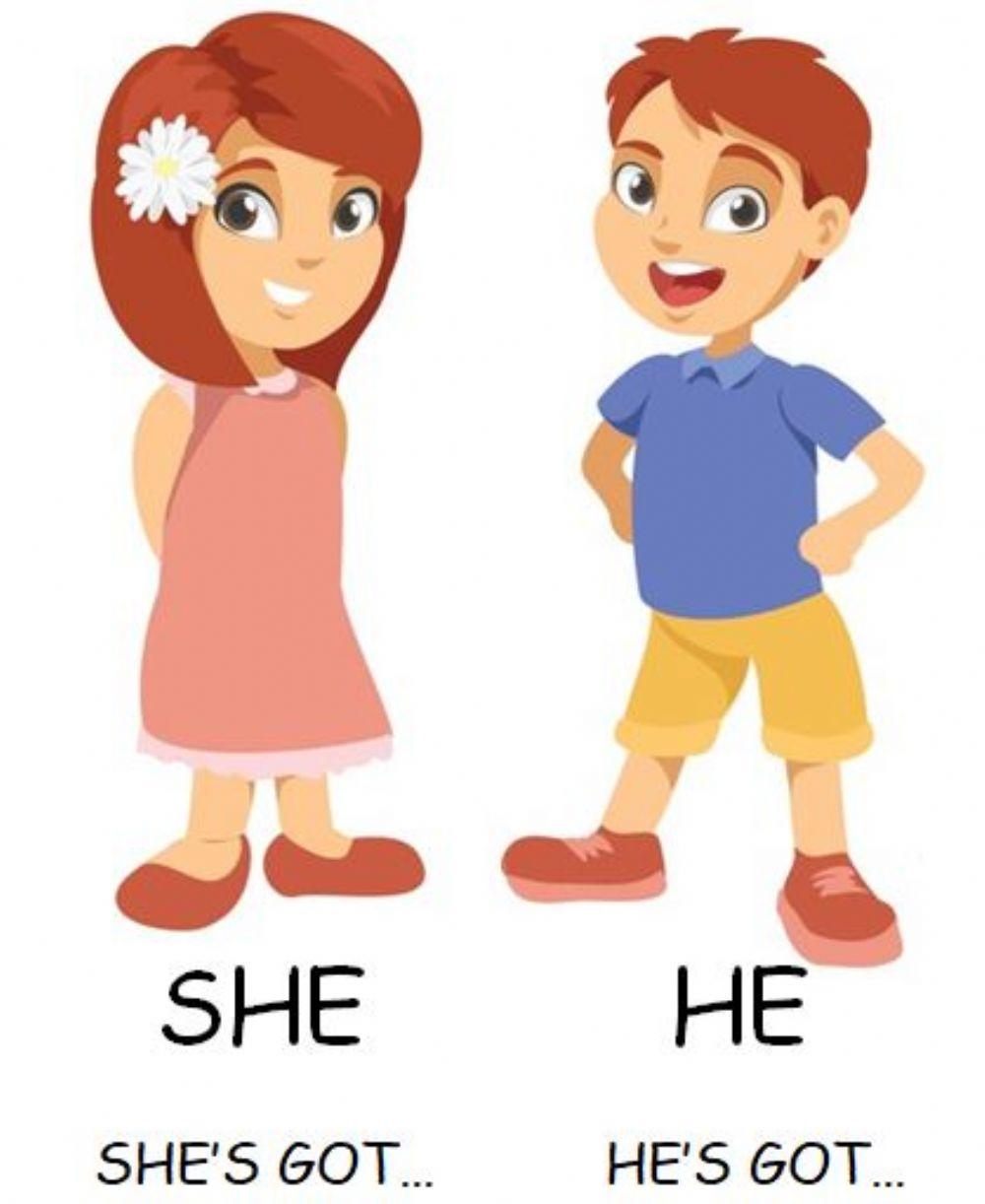 Ejercicio De Has He She Got Vrogue co ejercicio-de-has-he-she-got-vrogue-co