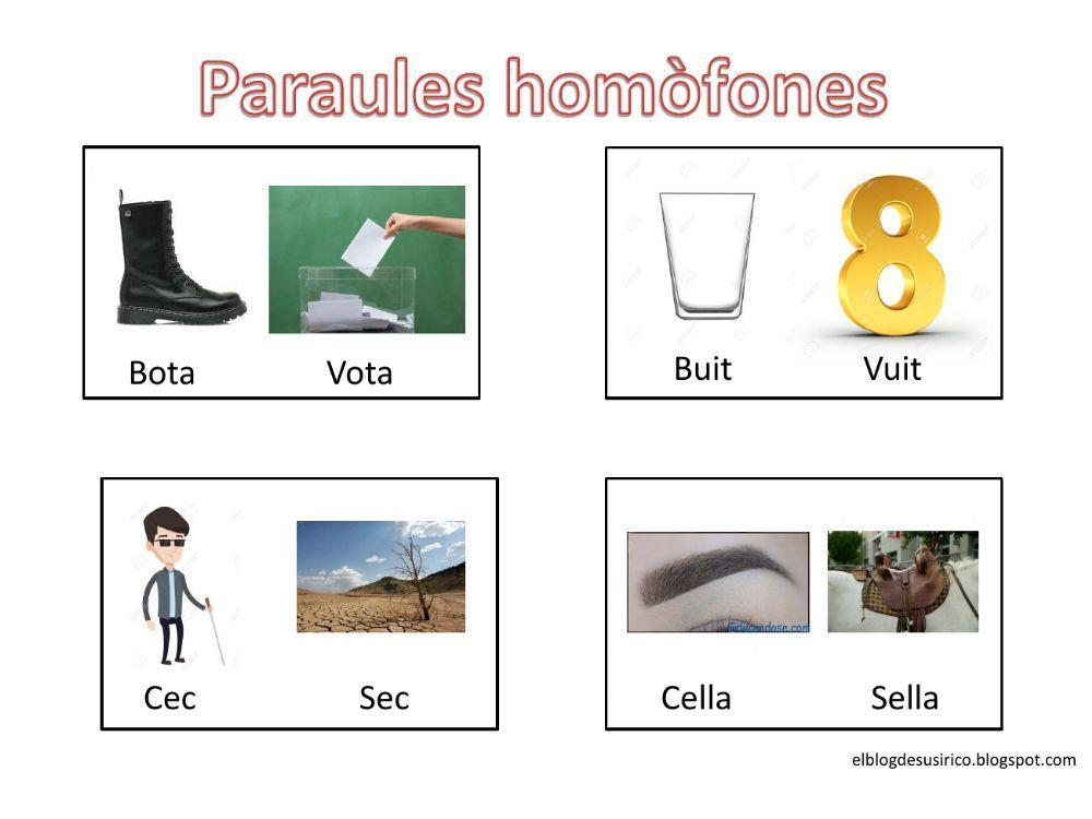 Paraules homòfones (làmines visuals)
