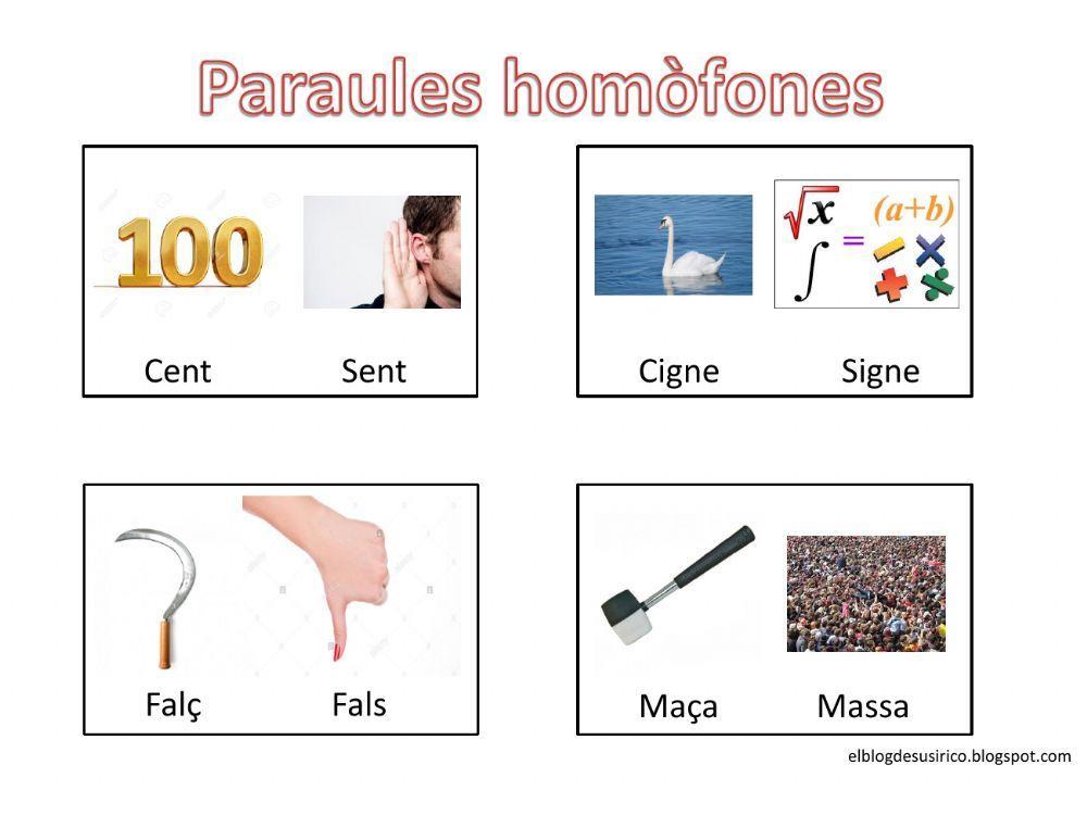 Paraules homòfones (làmines visuals)