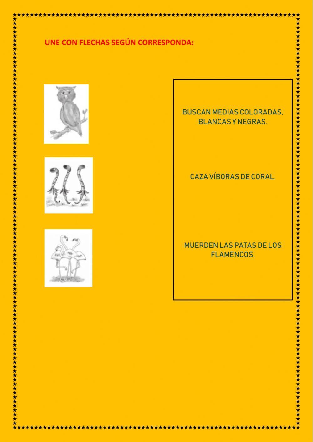 Las medias de los flamencos