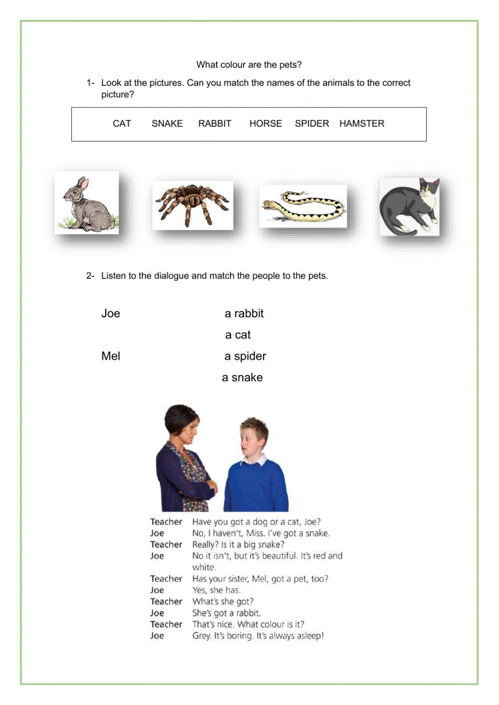 What colour is your pet?