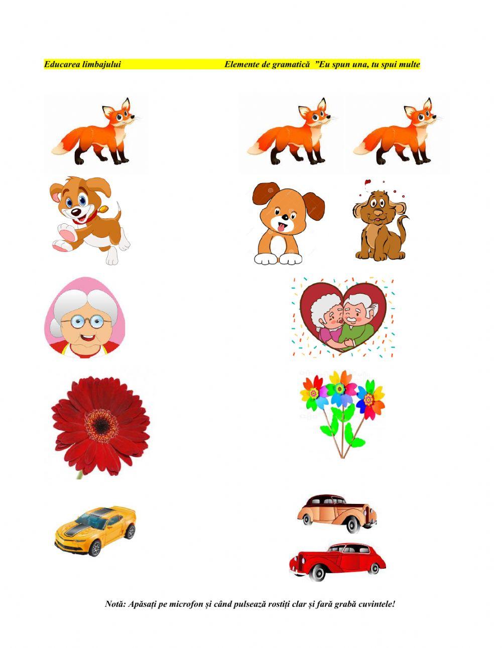 Eu spun una , tu spui multe