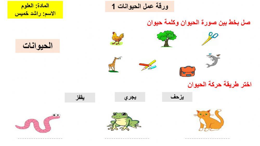 ورقة عمل راشد