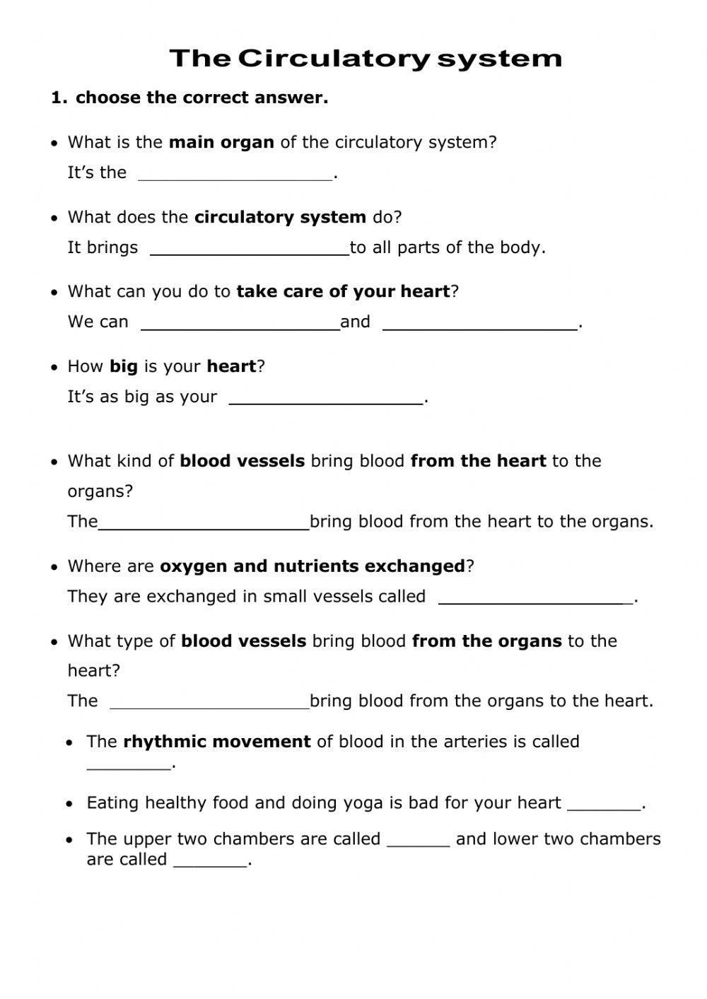 The circulatory system