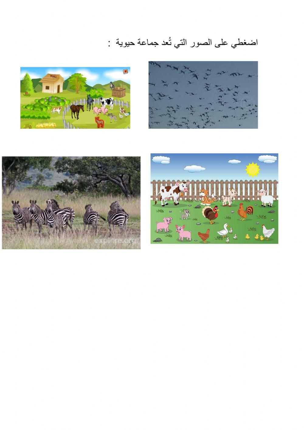 جماعة حيوية