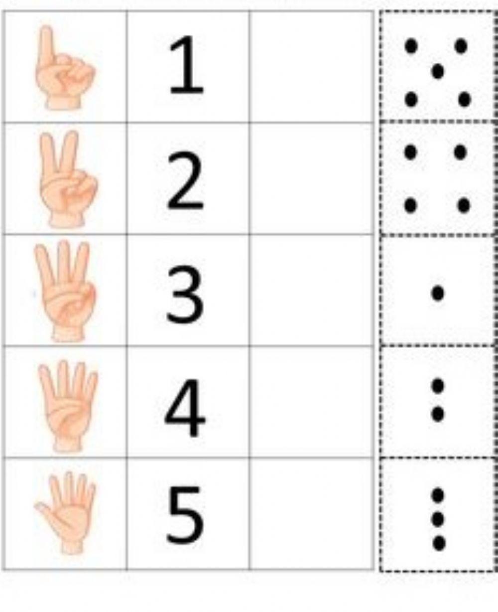 LOTU ZENBAKIAK ETA KANTITATEAK